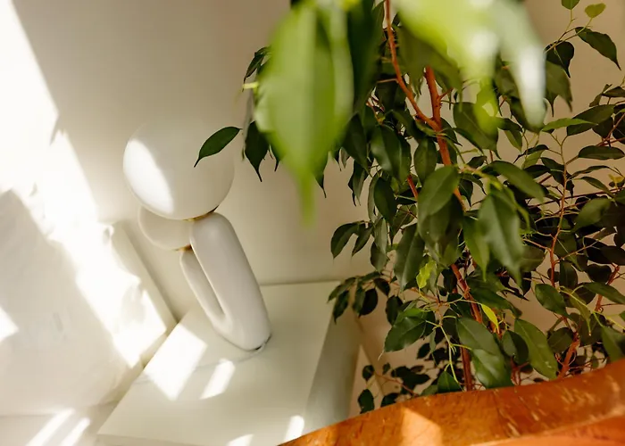 Boutique Studio, Bundeshausblick I Naehe Altstadt Appartement *